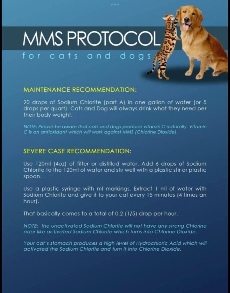MMS For Pets.jpg